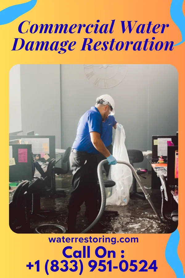 Commercial Water Damage Restoration in Christine, ND