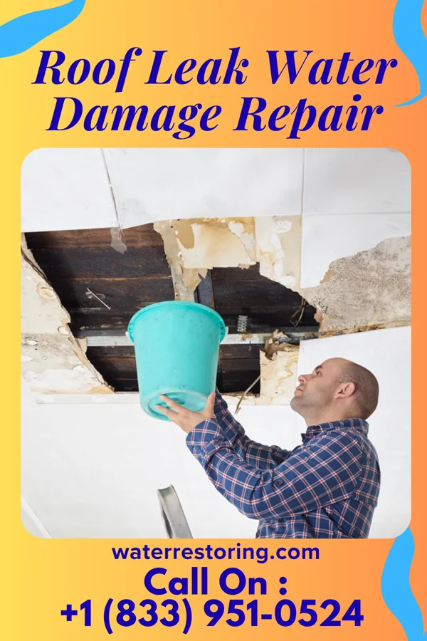 Roof Leak Water Damage Repair in Christine, ND